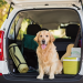 Hints For Travelling With Pets - How To Keep Them Entertained