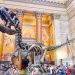 The Best Museums to Visit in New York