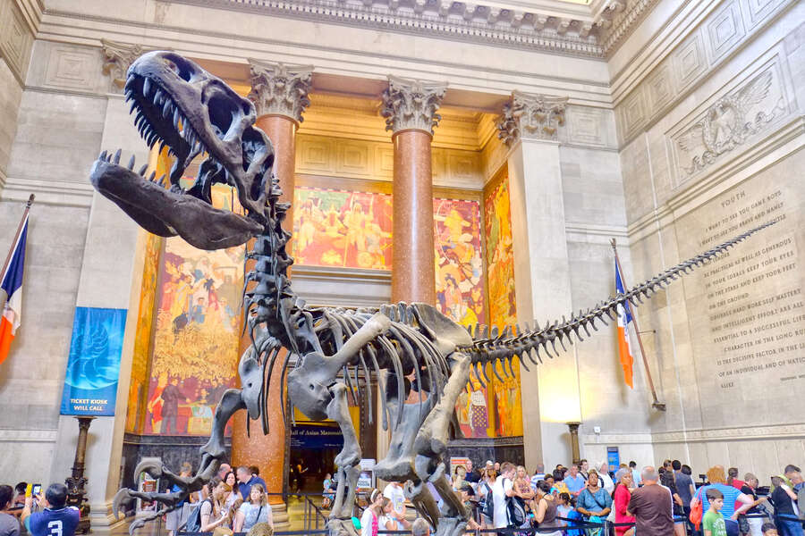The Best Museums to Visit in New York
