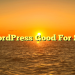 Is WordPress Good For SEO?